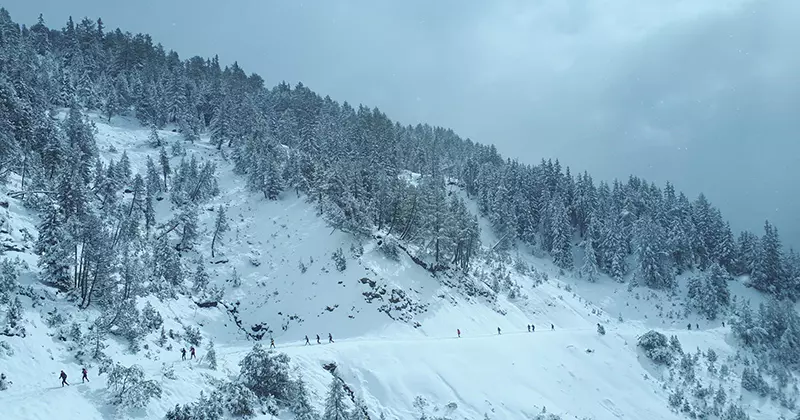 Een besneeuwde, beboste berghelling met een rij mensen die over een pad lopen. Hoge dennenbomen liggen bedekt met sneeuw onder een bewolkte, winterse hemel.